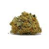 Jet Fuel AA