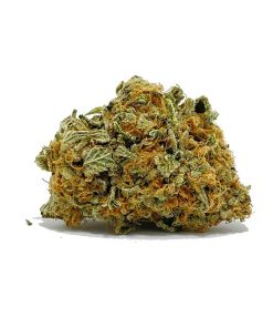Jet Fuel AA