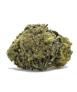 Organic Seawarp AA