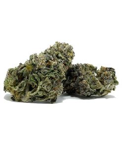 Black Gas AAAAA