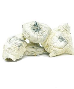 Albino A+