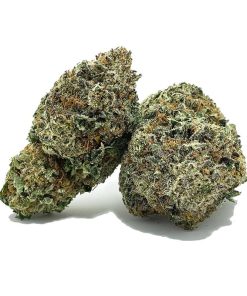 Blue Cookies AAA