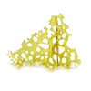 Chemdawg Shatter