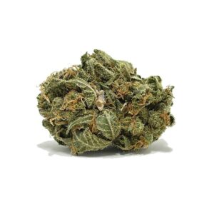 Critical Purple AA