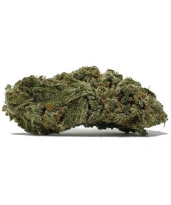 Gelato AA