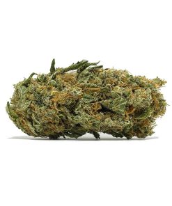 Ghost Train Haze AA