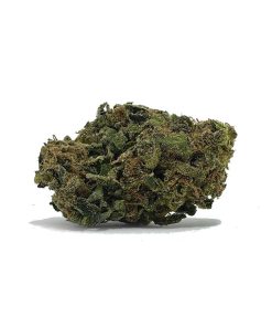 Godfather OG AA