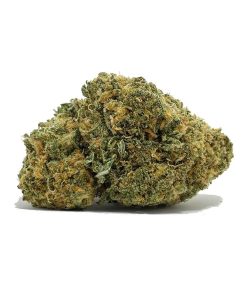 Gorilla Glue #4 AAA