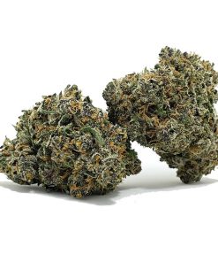 Grease Monkey AAA