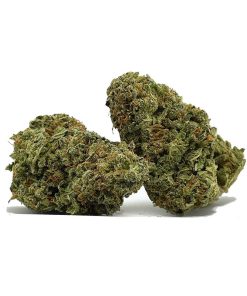 Hawaiian Haze AA