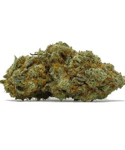 Mango Haze AA