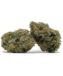 Organic Super Mario