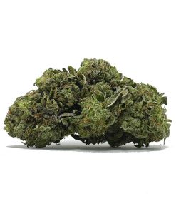 Pink Bubba AA