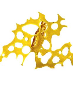 Pink Kush Shatter