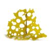 Slurricane Shatter