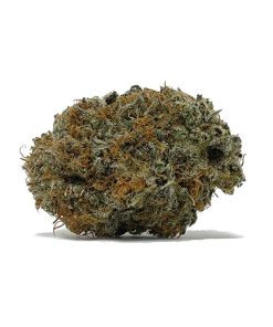 Tangerine Haze AAA