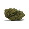 Tangie AA