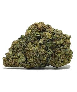 White Widow Haze AA
